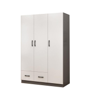 隆博盛景 大衣柜 木柜子 004