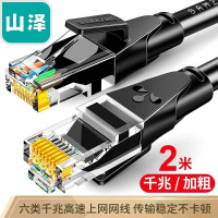 山泽 WD6020 六类网线 非屏蔽 黑色2米(一根装)