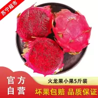 现摘金都一号红心火龙果 中果带箱5斤装 应季新鲜水果 自营水果 单果200g-300g 约8-12个