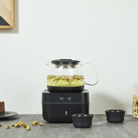 哲品智能全玻璃煮茶器小型办公室单炉带食盒蒸茶 TBox茶合Mini套装-黑色 xz