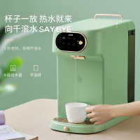 立升净水器 家用饮水机反渗透过滤净饮一体机即热直饮机台式加热净水机 D5云杉绿UV杀菌免安装
