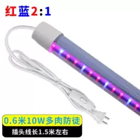 植物补光灯 0.6米10W多肉防徒[红2:蓝1]