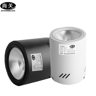 尚关(SHANGGUAN)灯 SQ-Z02 AC220V LED 40W