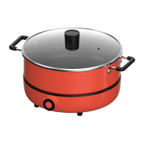 九阳(Joyoung) C21-HG5 电火锅