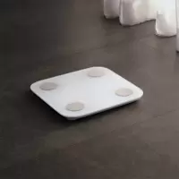 振兴 电子秤