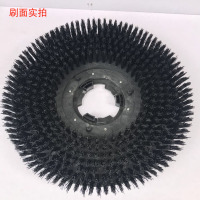 洗地机刷盘 地毯刷盘 洗地机配件DQX86 单位：对