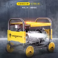 洗车机高压水泵220V水枪家用大功率神器抢小型便携德系电机2000W10米水管
