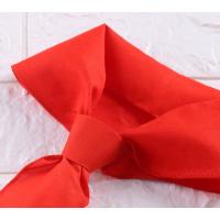 齐心红领巾1.2米10条装