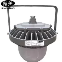 尚关(SHANGGUAN) 泛光平台灯SQ-Z26 AC220V LED 100W