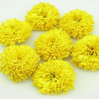 养肝菊花茶皇菊花草茶散装 精品500g