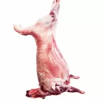 【江苏乡村振兴】【财政集采】苏米丰 绵羊 整白条羊（现杀冷鲜）（10kg起订，单订不发）