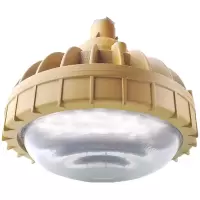 百年海浪 防爆LED灯HLD801-30W-II(台)