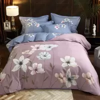 伊伊爱 TJ0HJC2000392 200*230cm纯棉磨毛 四件套 1.00 件/套 (计价单位：套) 兰庭浅雨（粉