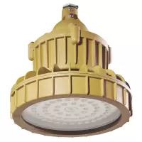 百年海浪 防爆免维护LED灯HLD804-70W-(A)-II(台)
