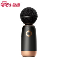 iDiskk唱吧麦霸小巨蛋