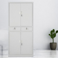 文件柜铁皮柜办公资料档案柜中铁二斗 灰白色