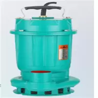 污水泵1.5kw潜水排污泵220v泥浆泵污水提升泵潜污泵C