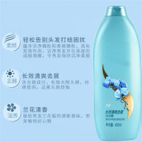 家安(HomeAejis) 洗发液400ml1瓶随机/件