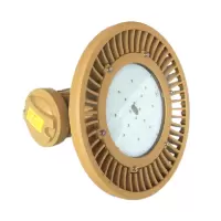 百年海浪 防爆免维护LED灯HLD804-80W-(A)-V(台)