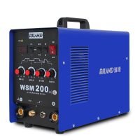 瑞凌 氩弧焊机 WSM-200逆变直流多功能脉冲氩弧两用电焊机 220V 【官方标配】