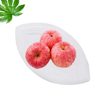 台顺 陶瓷异形盘（叶子款）