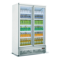 底置冷藏柜立式冷藏柜二门冷饮柜玻璃门展示柜