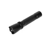 百年海浪 防爆手电筒 BSDT-3W(个)