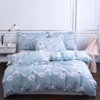 顶瓜瓜 DGGT2012 精梳棉四件套(单位:套)