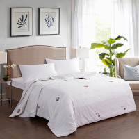 金丝莉 新雅致蚕丝被JB-1082