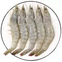 特级新鲜活基围虾 500g