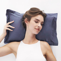 Travel Blue蓝旅 美梦颈枕214