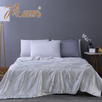 顶瓜瓜 DGGXB013 冰沁丝滑蚕丝被(单位:条)