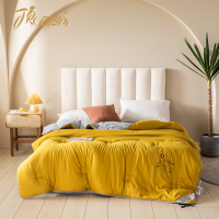 顶瓜瓜 DGGB1003 抗菌德绒发热被(单位:条)