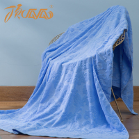 顶瓜瓜 DGGT1011 提花毛巾被(单位:条)