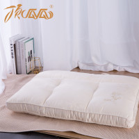 顶瓜瓜 DGGZ1009 健康枕（单位：个）