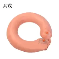 兵戎 户外游泳圈 救生圈 橡胶加厚双气囊