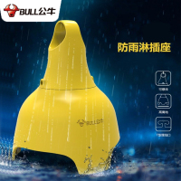 BULL公牛 C3210(X)无线 插座 （10个）