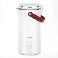 韩国现代(HYUNDAI)QC-DJ13豆浆机300mL