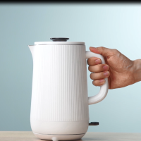 德世朗电热水壶 DDQ-SH210大容量1.6L(节假日延迟发货)