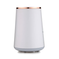 伊莱克斯EGEH-760香薰加湿器