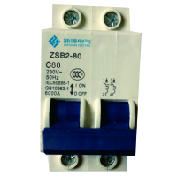 浙顺电气ZSB2-80/2P 80A小型断路器