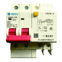 浙顺电气ZSM6L-63/2P小型断路器带漏电