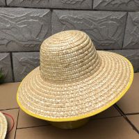 华米(HUAMI)草帽帽子45×15cm 一顶