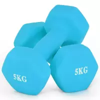 浸塑磨砂哑铃 5KG*2