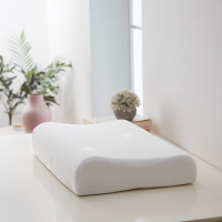 恒源祥乳胶枕TZT1020