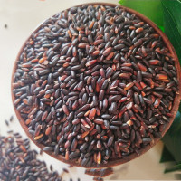 [江苏乡村振兴][财政集采]苏米丰 黑香糯米(血糯米)(2.5kg/袋 普装)(4袋起订,单订不发)