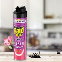 雷达杀虫气雾剂清香/600ML TT