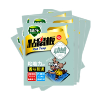 绿叶粘鼠板动感老鼠贴灭鼠抓老鼠夹子黏老胶沾(5片)