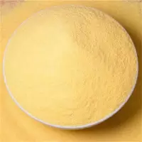 B2B-ZTE-玉米面粉500g