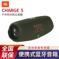 JBL CHARGE5 音乐冲击波五代 便携式蓝牙音箱+低音炮 户外防水防尘音箱 桌面音响 增强版赛道扬声器 灰色